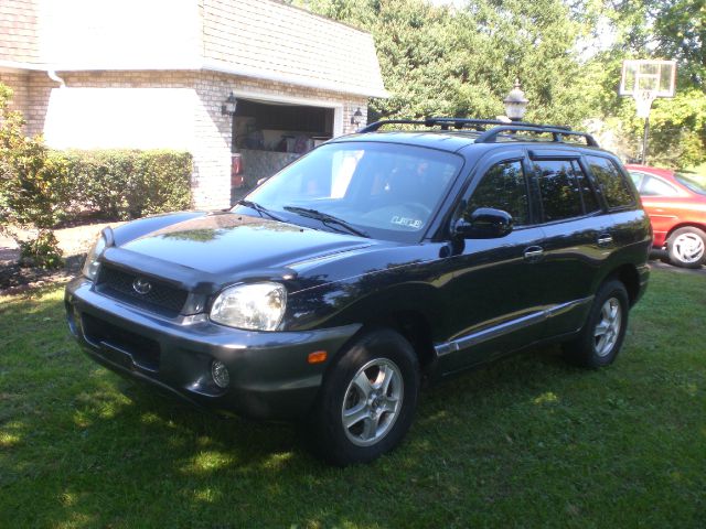 Hyundai Santa Fe 2004 photo 3