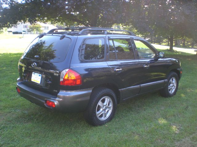 Hyundai Santa Fe 2004 photo 4