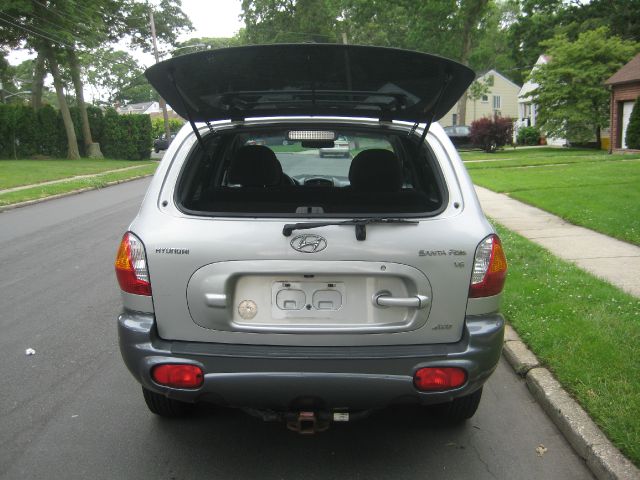 Hyundai Santa Fe 2004 photo 2