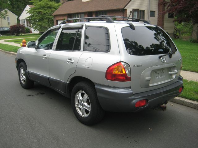 Hyundai Santa Fe 2004 photo 3