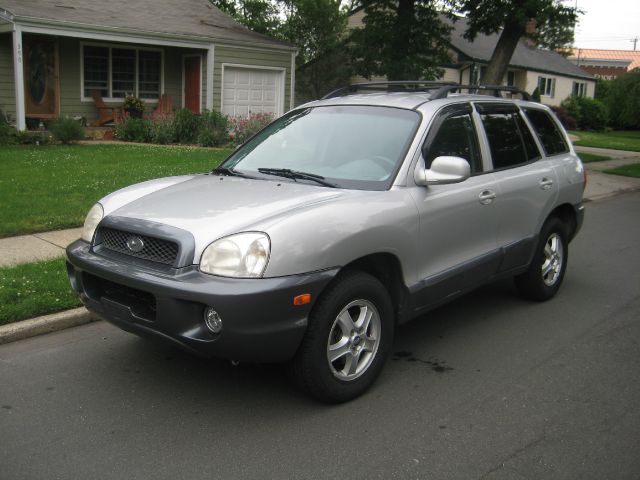 Hyundai Santa Fe 2004 photo 4