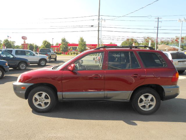 Hyundai Santa Fe 2004 photo 4