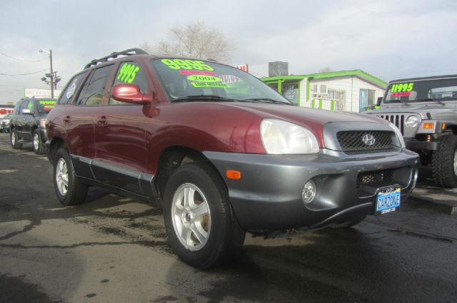 Hyundai Santa Fe 2004 photo 1