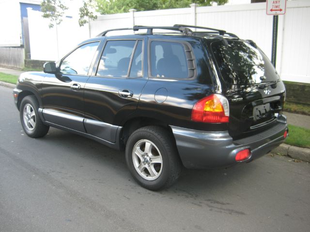 Hyundai Santa Fe 2004 photo 1