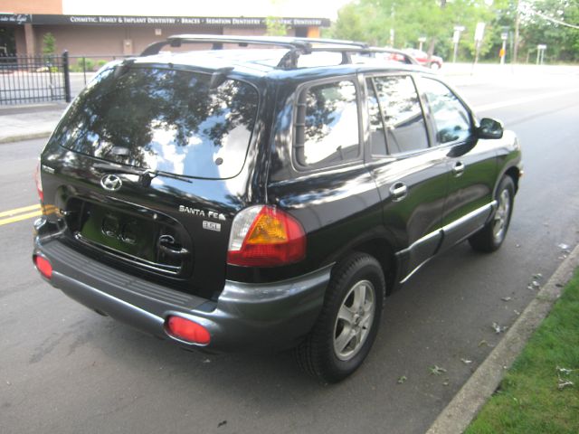 Hyundai Santa Fe 2004 photo 2