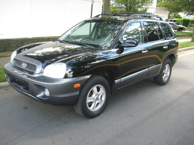 Hyundai Santa Fe 2004 photo 3