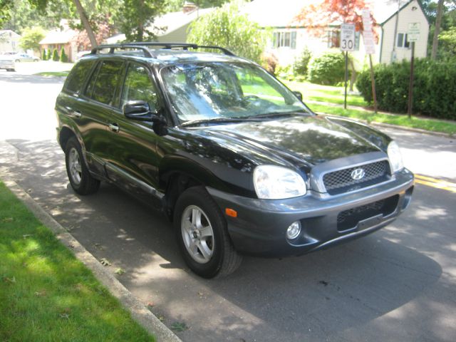 Hyundai Santa Fe 2004 photo 4