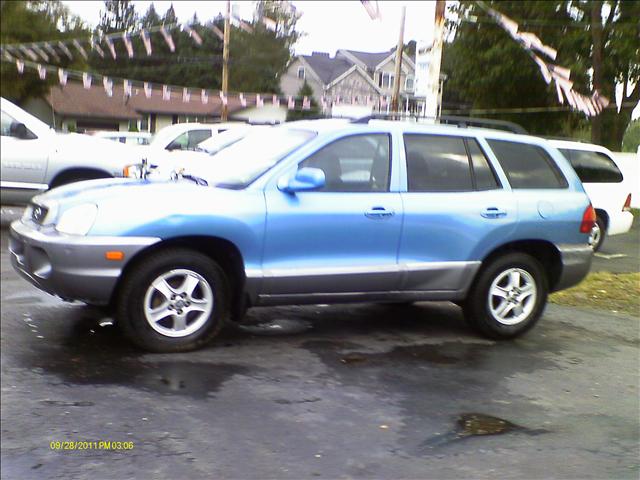 Hyundai Santa Fe 2004 photo 1