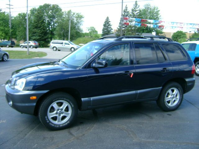 Hyundai Santa Fe 2004 photo 1