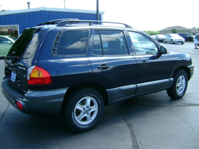 Hyundai Santa Fe 2004 photo 2