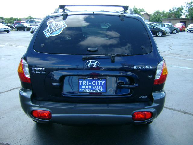 Hyundai Santa Fe 2004 photo 3