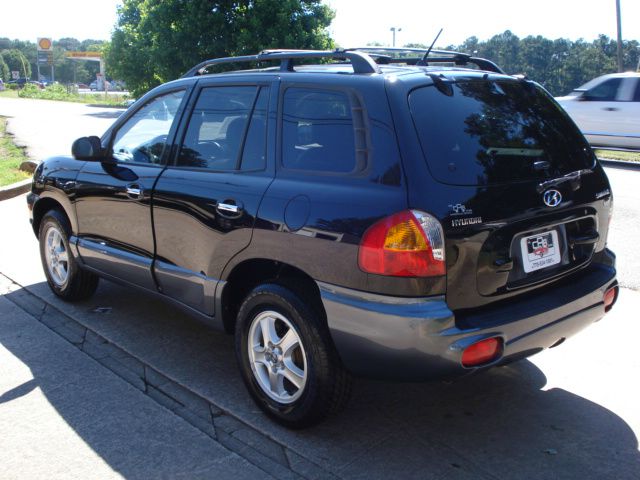 Hyundai Santa Fe 2004 photo 1