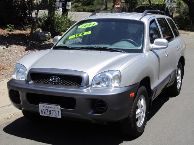 Hyundai Santa Fe 2004 photo 1