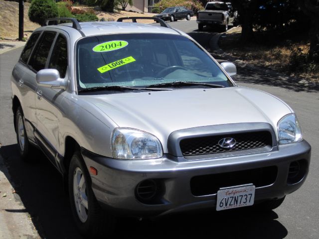 Hyundai Santa Fe 2004 photo 2