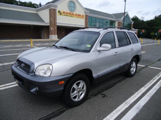 Hyundai Santa Fe 2004 photo 1