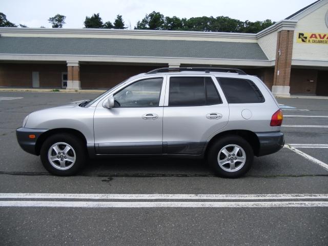 Hyundai Santa Fe 2004 photo 2