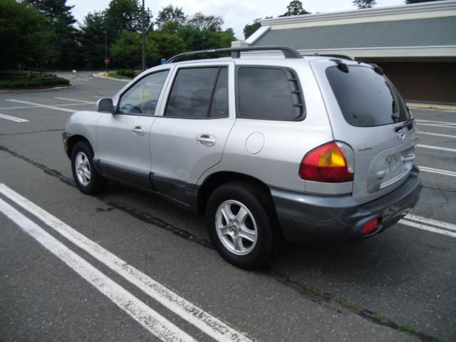 Hyundai Santa Fe 2004 photo 3