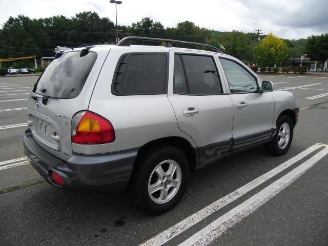 Hyundai Santa Fe 2004 photo 5