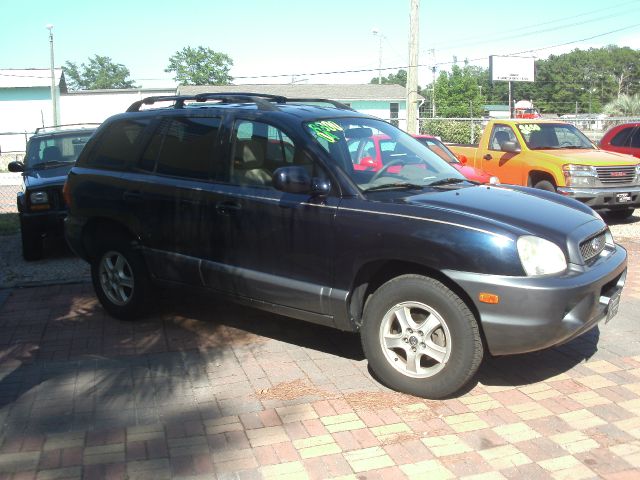 Hyundai Santa Fe 2004 photo 3