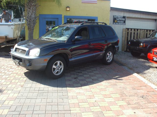 Hyundai Santa Fe 2004 photo 4