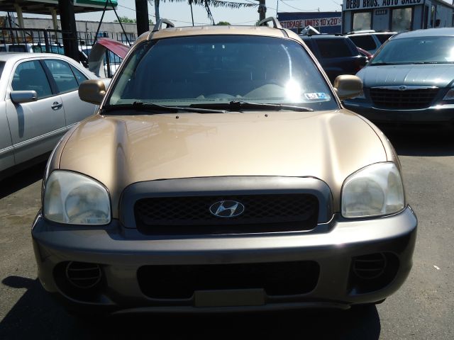 Hyundai Santa Fe 2004 photo 2