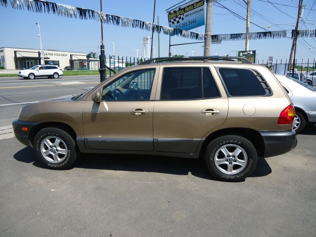 Hyundai Santa Fe 2004 photo 3