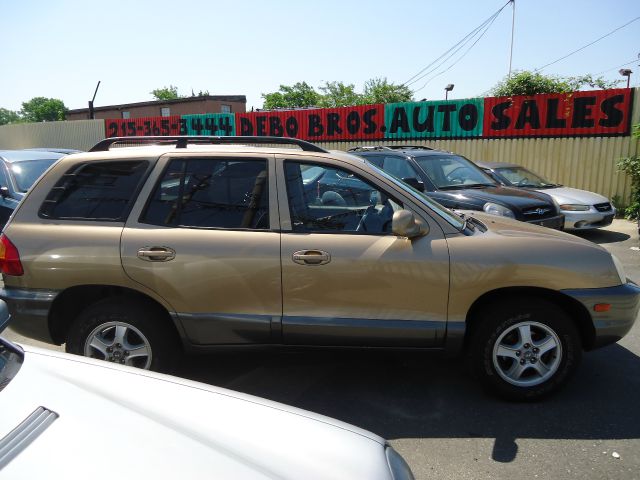 Hyundai Santa Fe 2004 photo 4