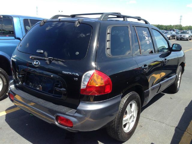 Hyundai Santa Fe 2004 photo 1