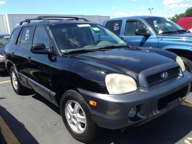 Hyundai Santa Fe 2004 photo 2