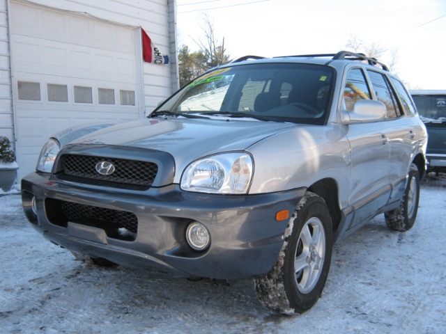 Hyundai Santa Fe 2004 photo 4