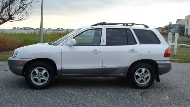 Hyundai Santa Fe 2004 photo 1