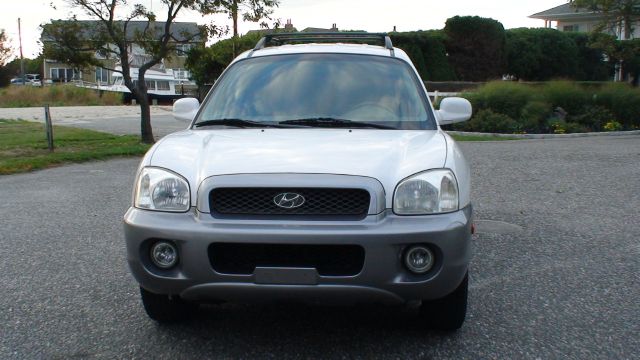 Hyundai Santa Fe 2004 photo 2