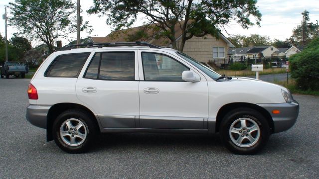 Hyundai Santa Fe 2004 photo 3