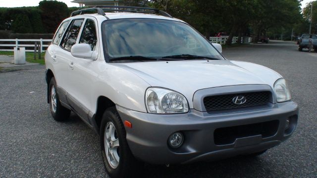 Hyundai Santa Fe 2004 photo 4