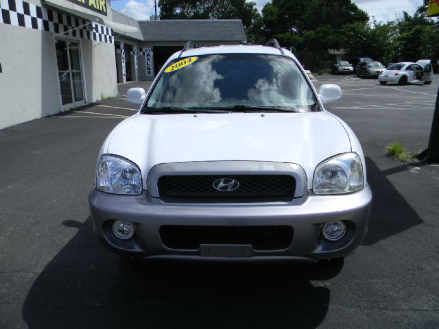 Hyundai Santa Fe 2004 photo 1