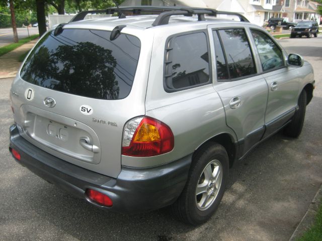 Hyundai Santa Fe 2004 photo 6