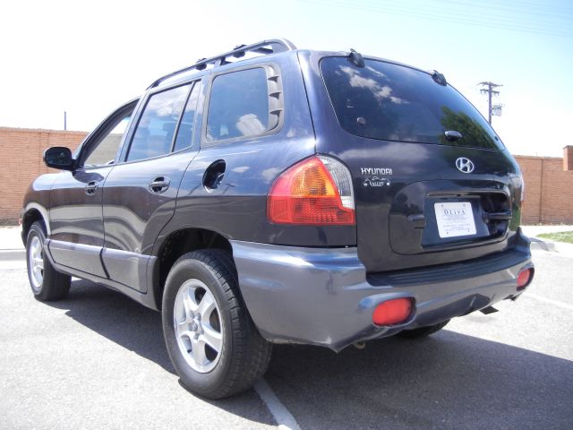 Hyundai Santa Fe 2004 photo 1