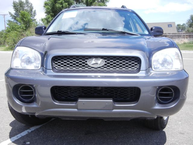 Hyundai Santa Fe 2004 photo 2