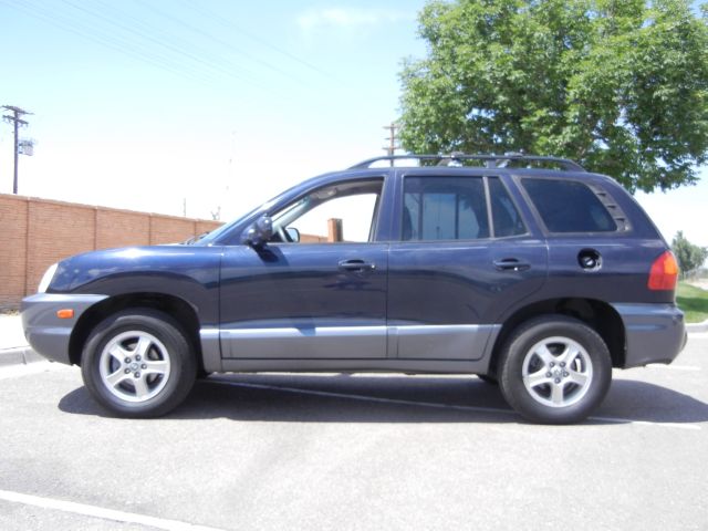 Hyundai Santa Fe 2004 photo 4