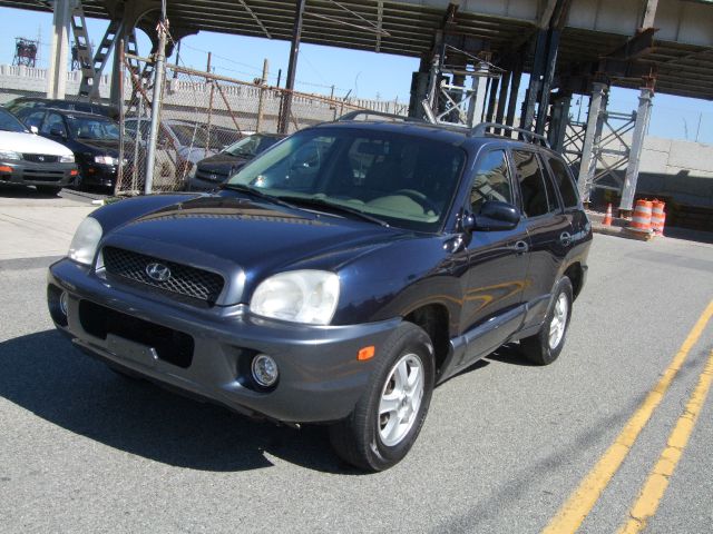 Hyundai Santa Fe 2004 photo 1