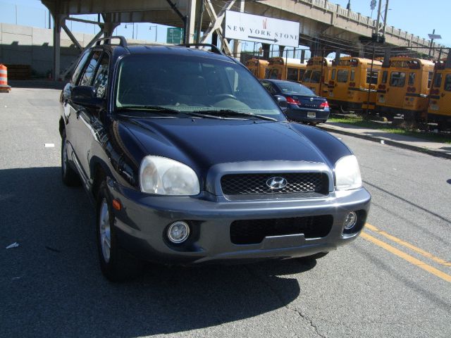 Hyundai Santa Fe 2004 photo 3