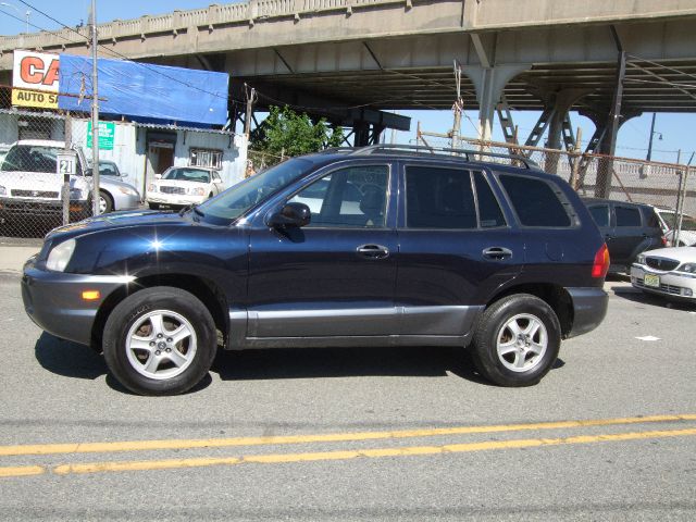 Hyundai Santa Fe 2004 photo 4