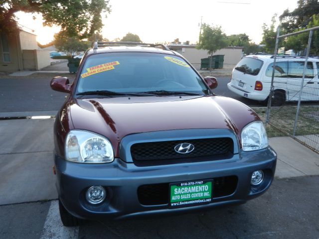 Hyundai Santa Fe 2004 photo 1