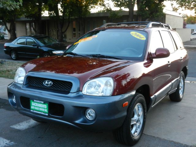 Hyundai Santa Fe 2004 photo 2