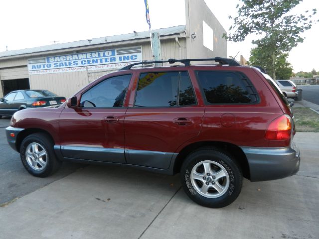 Hyundai Santa Fe 2004 photo 3