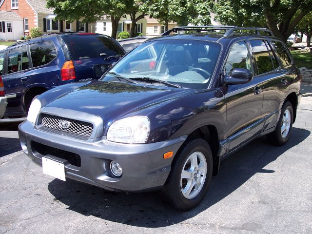 Hyundai Santa Fe 2004 photo 3