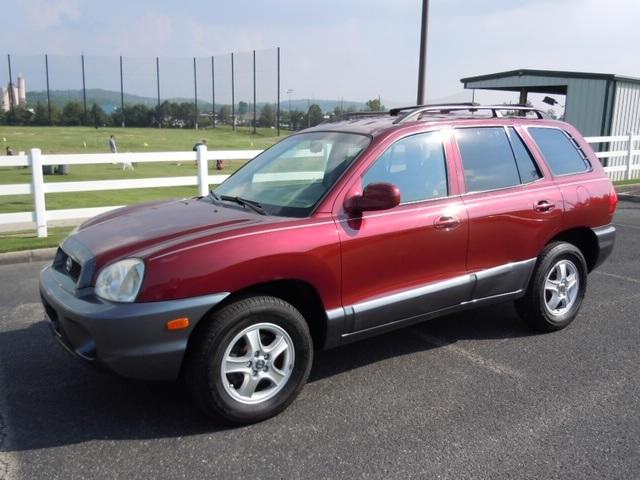 Hyundai Santa Fe Elk Conversion Van Sport Utility