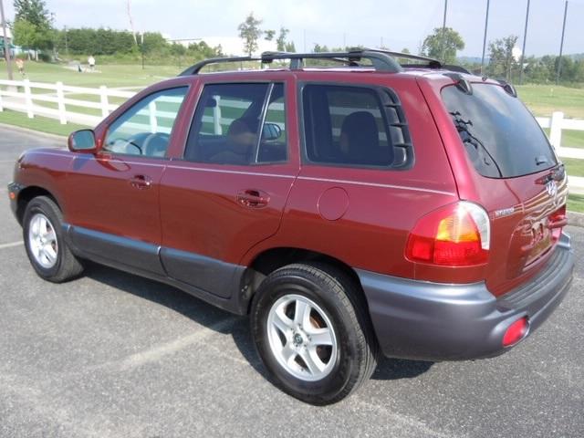 Hyundai Santa Fe 2004 photo 5