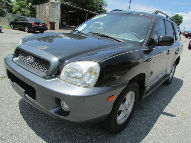 Hyundai Santa Fe 2004 photo 2