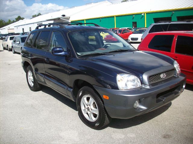 Hyundai Santa Fe 2004 photo 3